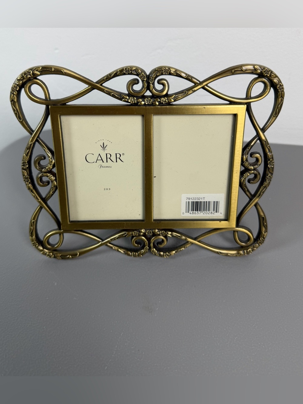 CARR FRAMES Double 2x3 Ornate Metal Antique Gold Tone Frame with Glass New